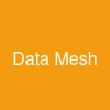 Data Mesh