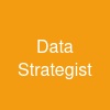 Data Strategist