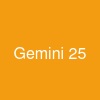Gemini 2.5