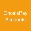 GnosisPay Accounts