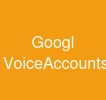 Googl VoiceAccounts