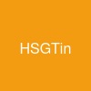 HSGTin