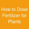 How to Dose Fertilizer for Plants