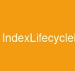 IndexLifecycleManagement