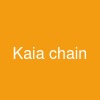 Kaia chain