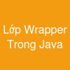 Lớp Wrapper Trong Java