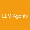 LLM Agents