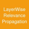 Layer-Wise Relevance Propagation