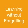 Learning without Forgetting