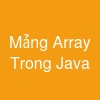 Mảng (Array) Trong Java