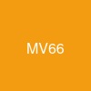 MV66