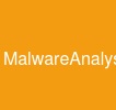 MalwareAnalysis