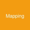 @Mapping