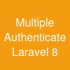 Multiple Authenticate Laravel 8