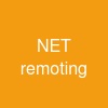 .NET remoting