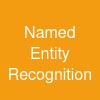 Named Entity Recognition