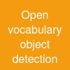 Open vocabulary object detection