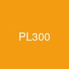 PL-300