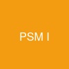 PSM I