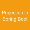 Projection in Spring Boot
