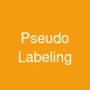 Pseudo Labeling