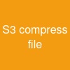 S3 compress file