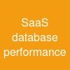 SaaS database performance