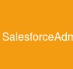 SalesforceAdmin