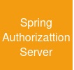 Spring Authorizattion Server