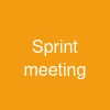 Sprint meeting