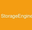 StorageEngine