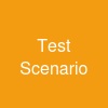 Test Scenario