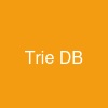Trie DB