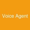 Voice Agent