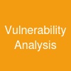 Vulnerability Analysis