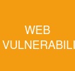 WEB VULNERABILITY