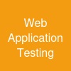 Web Application Testing