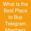 What Is the Best Place to Buy Telegram Members Fast in 2026?