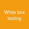 White box testing