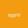 aggrid