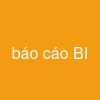 báo cáo BI