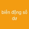 biến động số dư