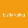 bizfly kafka