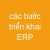 các bước triển khai ERP