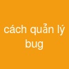 cách quản lý bug