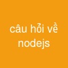 câu hỏi về nodejs