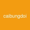 caibungdoi