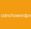 cdnchowordpress