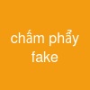 chấm phẩy fake