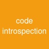 code introspection